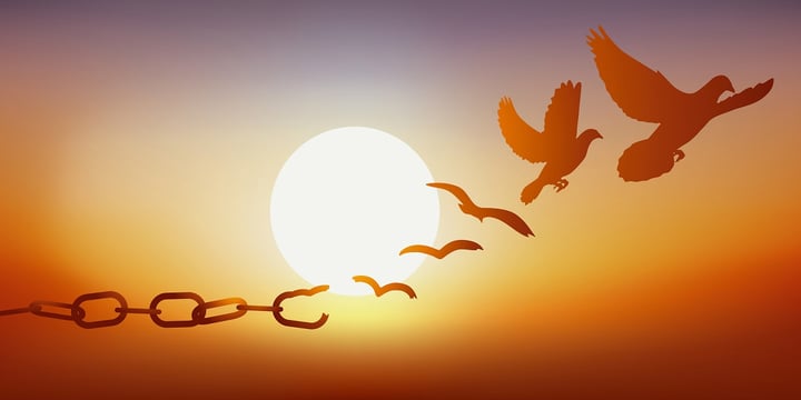 Ein anonymes Whistleblowing-System ist die Versicherung gegen Reputationsschäden